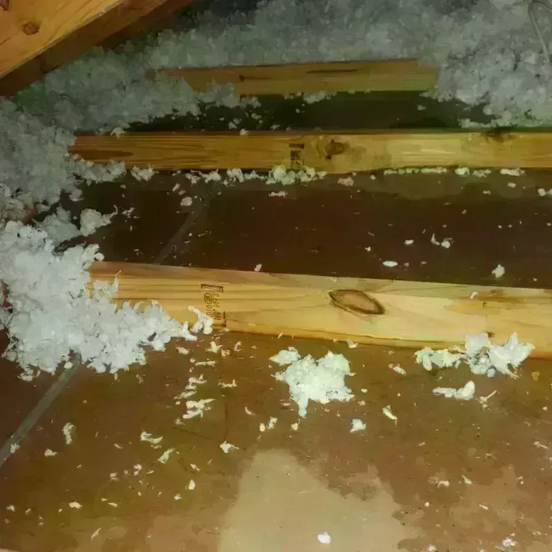 Attic Water Damage in Warren County, MS