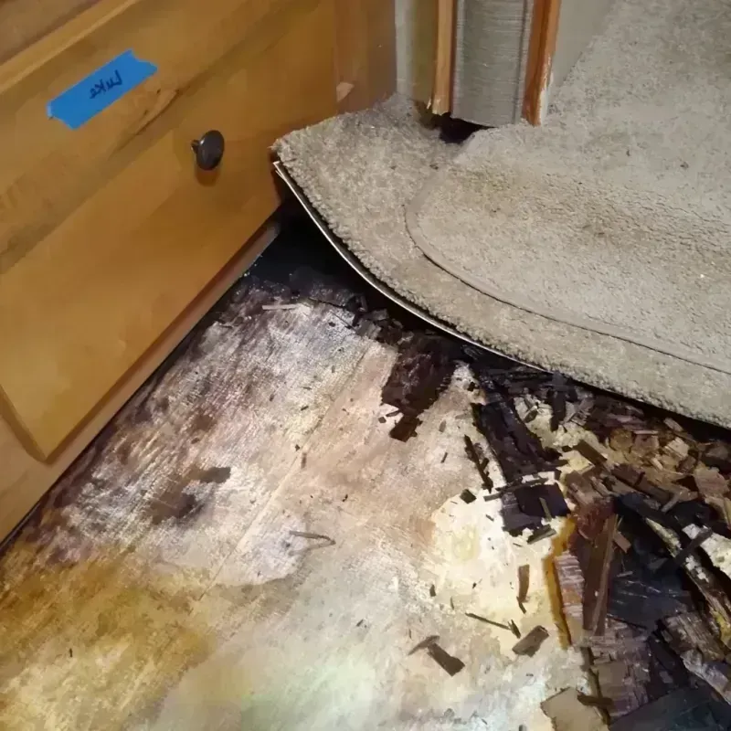 Wood Floor Water Damage in Warren County, MS